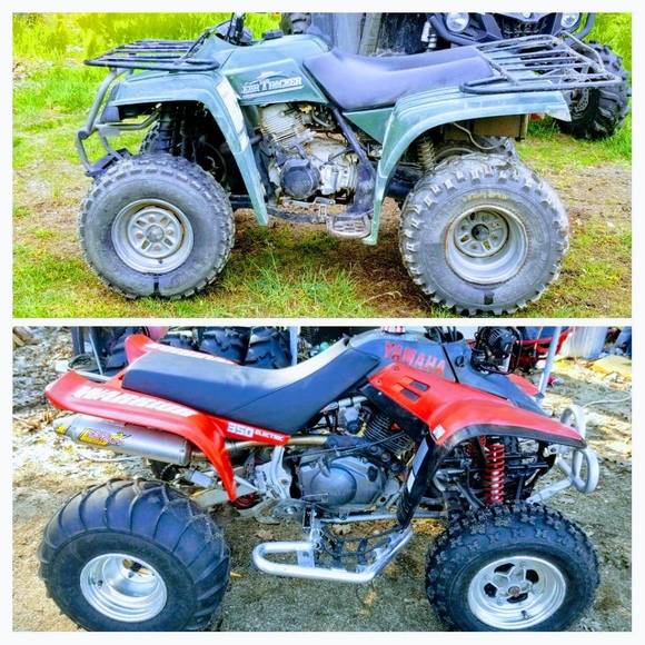 Meet your Posher, Michael - Picture 1 of 1